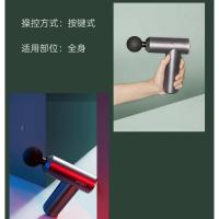 攀高（PANGAO） 筋膜枪按摩器 PG-M190 163*157*45mm (单位:台) 灰色