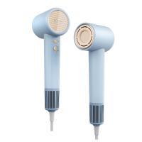 小熊（Bear）DCF-D16U3 电吹风 1600W （单位：台）(蓝色 绿色 白色 随机发)
