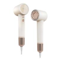 小熊（Bear）DCF-D16U3 电吹风 1600W （单位：台）(蓝色 绿色 白色 随机发)