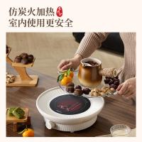 乐仕菲斯 RS-W1 电陶炉 1000W （单位：台）