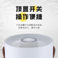 澳柯玛（AUCMA） NF20ND17 立式取暖器 暖风机暖风扇热风扇（单位：台）