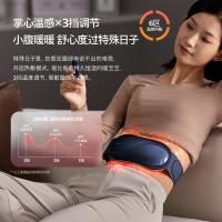 飞利浦（PHILIPS） PPM7501B 腰部按摩器 224*104*59mm （单位：个）