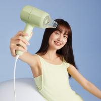 小熊（Bear）DCF-B18L7 电吹风 1800W （单位：台）绿色