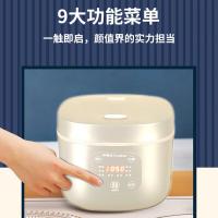 荣事达（Royalstar） RFB-S40K16 电饭煲 4L（单位：台）