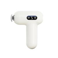 美仕达（Misida） MS-Cool-5 健康礼盒套装  J06筋膜枪+希乐水杯550ml (单位: 套)颜色随机