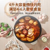 荣事达（Royalstar） DHG-Y28H 多功能电火锅 4L （单位:个）