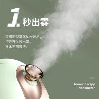 美克斯（MKS） NV8388  蒸脸仪 180ML 320W（单位：台）竹叶青