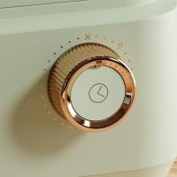炊大皇（COOKER KING） CDH-ZG0205 电蒸锅 3L 206*176*253mm 双层 (单位:台) 绿色