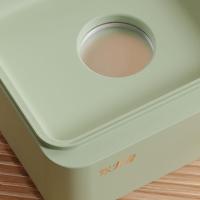 炊大皇（COOKER KING） CDH-ZG0205 电蒸锅 3L 206*176*253mm 双层 (单位:台) 绿色