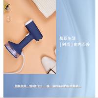 康佳（KONKA） KSC-G168（G） 挂烫机 0.14L （单位:个） 蓝色