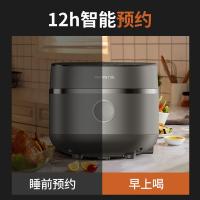 九阳（Joyoung） F-40TD01  电饭煲 4升 （单位:个）太空灰