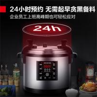 德玛仕（DEMASHI） YBD26-350 高压锅 26L 220V 3500W (单位：台）