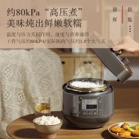 松下（Panasonic） SR-PB201-H 电压力锅 2L 深灰色（单位：个）
