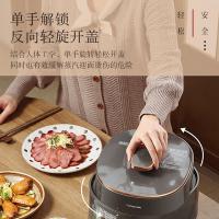 松下（Panasonic） SR-PB201-H 电压力锅 2L 深灰色（单位：个）
