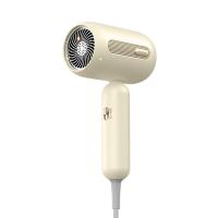 豹牌 BP-HD295 电吹风 75*120*250mm（单位：台）奶咖色