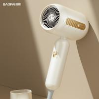 豹牌 BP-HD295 电吹风 75*120*250mm（单位：台）奶咖色