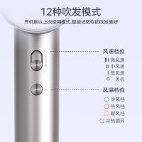 美的（Midea） FG208 高速电吹风 1500W 流光白（单位：个）