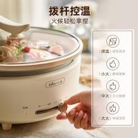 小熊（Bear） P50F1  电火锅 5L（单位：台）