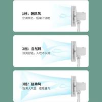 创维（Skyworth） 电风扇 Q886 300*300*900mm (单位:台) 白色