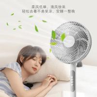 创维（Skyworth） 电风扇 Q886 300*300*900mm (单位:台) 白色