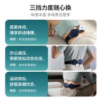 飞利浦（PHILIPS） PPM3208B 腰部按摩器 腰椎按摩仪多档热敷腰带舒缓腰部暖宫按摩仪 约300g（单位：个）蓝色