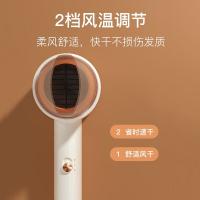 雷瓦 RC-7105 MINI电吹风 500W （单位：个）橘色