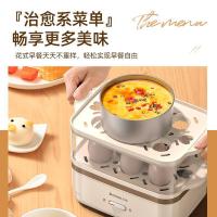 志高（CHIGO） ZDQ204 煮蛋器 配蒸碗+量杯 350W 蒸碗0.36L（单位：套)
