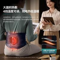 飞利浦（PHILIPS） PPM5201B 腰部按摩器 L码 1130*230mm （单位：台） 蓝色