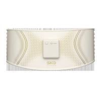 SKG G3豪华1代 腰部按摩仪 按摩器 258g 橙色（单位：台）