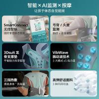 飞利浦（PHILIPS） PPM5602B 背部按摩器2档 4000mAh 灰色 (单位:台)