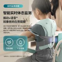 飞利浦（PHILIPS） PPM5602B 背部按摩器2档 4000mAh 灰色 (单位:台)