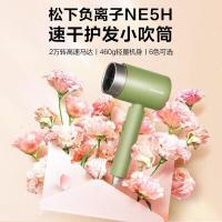 松下（Panasonic） EH-WNE5HA405 电吹风机 大功率 礼盒款 蓝色（单位：个）