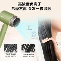 松下（Panasonic） EH-WNE5HA405 电吹风机 大功率 礼盒款 蓝色（单位：个）
