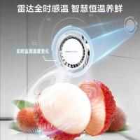 美的（Midea） Midea 对开门 MR-540WSPZE 515L (单位:台) 流苏白