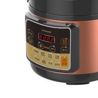 豹牌 电压力锅 多功能 BP-WD259 5L (单位:台) 咖啡色
