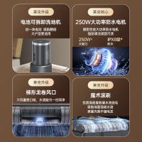 莱克（LEXY） 无线洗地机 天狼星 S400pro 0.4L (单位:台) 黑色