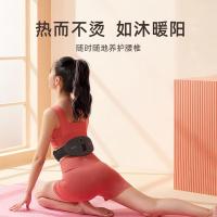 攀高（PANGAO） 智能腰椎按摩仪 Waist 1 265*130*83mm (单位:台) 灰色