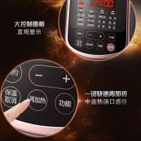 苏泊尔（SUPOR） 电炖锅 DG60YC13 6L (单位:台)