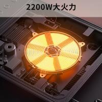 九阳（Joyoung） 电磁炉 C22S-N2130 350*280*51mm (单位:台) 曜石黑