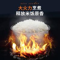 北美电器（ACA） 微电脑电饭煲 ALY-30FB08A 3L (单位:台)