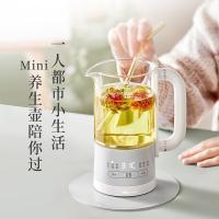 小熊（Bear） YSH-E06H1 316不锈钢迷你养生壶 0.6L (单位:台) 灰色