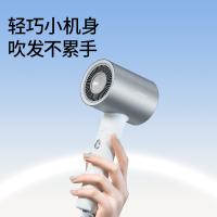 直白（zhibai） HL340 pro 吹风机 1800W（单位：台）银色