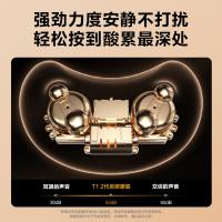 SKG T1 2代豪华款 腰背按摩仪 电池容量2000mAh（单位：台） 棕色