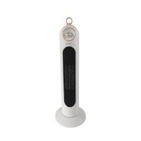 思嘉思达 SKD-N0060 石墨烯立式取暖器 2000W（单位：台）