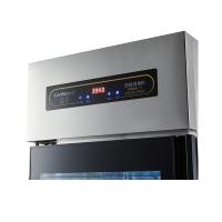 康宝（Canbo） XDZ250-CR4A1 立式消毒柜 600W (单位:台)