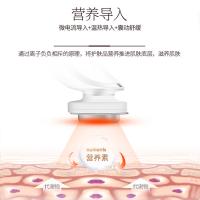 金稻（KSKIN） KD9960 美容仪 5W 168*46*45mm（单位：个）白色