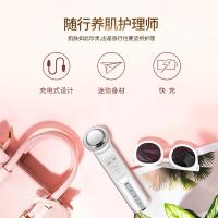 金稻（KSKIN） KD9960 美容仪 5W 168*46*45mm（单位：个）白色