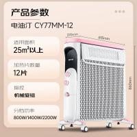 先锋（SINGFUN） CY77MM-12（DS1772） 取暖器 落地式 （单位:个）