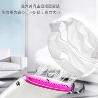 志高（CHIGO） ZD188 挂烫机 800W（单位：台）
