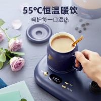 小熊（Bear） YSH-C08V1 养生壶 0.8L 600W（单位：台）蓝色